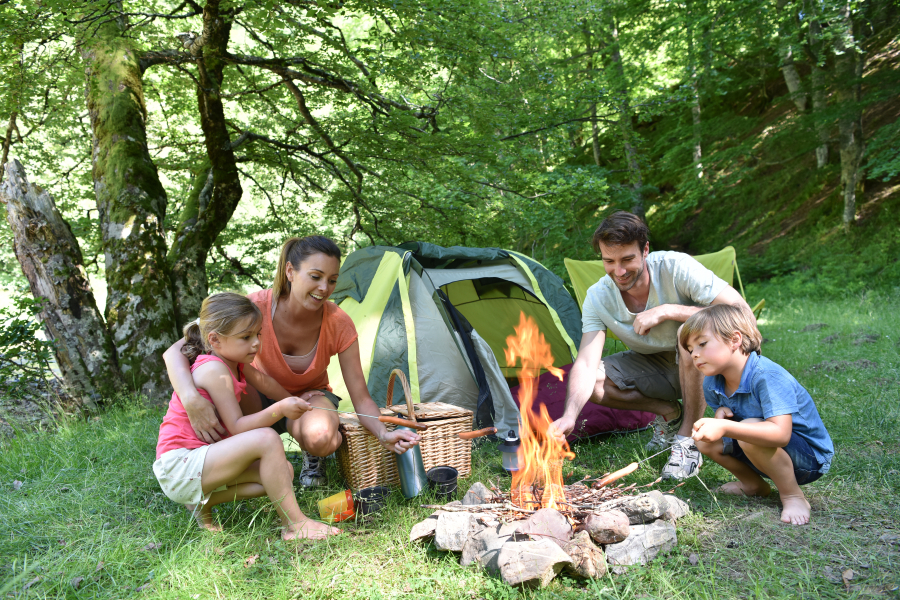 camping La Tour des Prises la Couarde ile de Ré